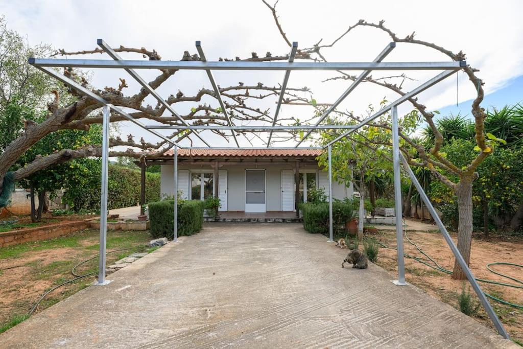 Farmbill Villa Markópulo Kültér fotó