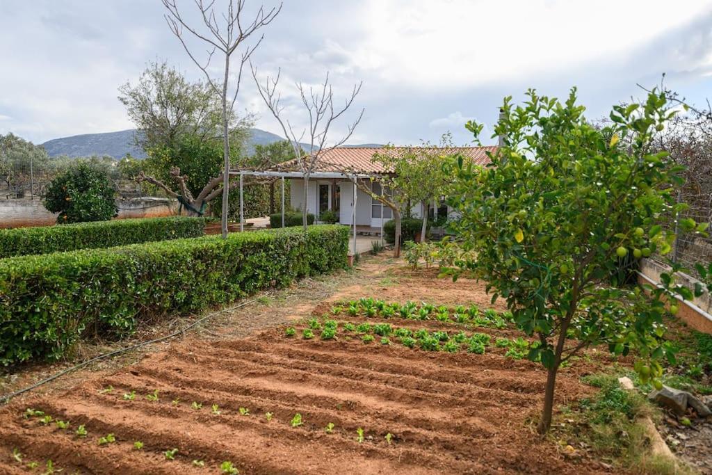 Farmbill Villa Markópulo Kültér fotó