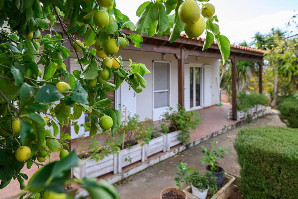 Farmbill Villa Markópulo Kültér fotó